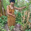 โครงการถังขยะเปียกลดโลกร้อน